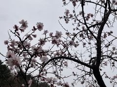-易水湖景区