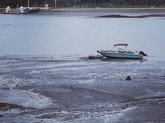 -海沧湾公园