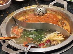 -大龙燚火锅(南山大道店)