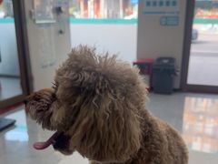 -安安宠医·臻爱宠物医院·宠保定点(营门口路分院)