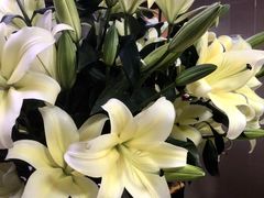 -农汤老店(顺联公园里店)