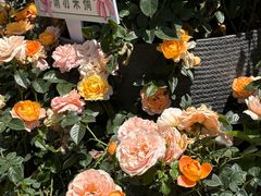 -上海第一八佰伴