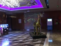 -纯K(哈西店)
