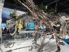 -国家自然博物馆