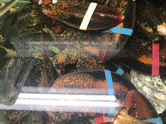 -京港生鲜(四道口店)