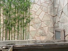 -仁爱团泊湖温泉中心