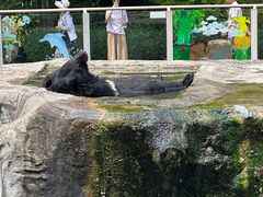 -柳州市动物园