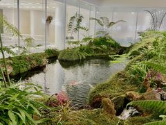 -罗红摄影艺术馆