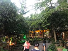 -青城甲(青城山店)