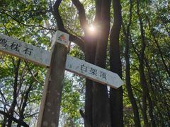 -火炉山森林公园