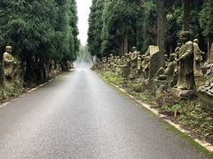 -武陵山森林公园
