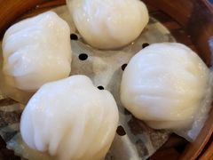 添运来虾饺皇-添运来(茶园奥园广场店)