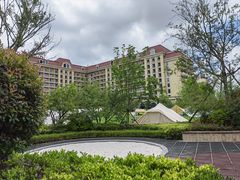 -星光岛