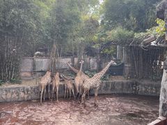 -长鹿旅游休博园