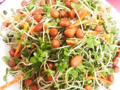 拌萝卜苗-兴国苑酒店