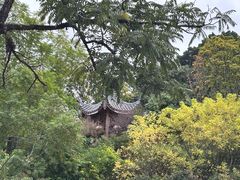 -乌山风景区