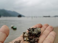 -北岐滩涂