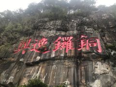 -铁山坪森林公园