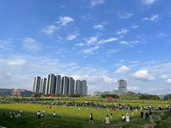 -光明小镇欢乐田园