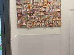 -宠物星动物医院·眼科·异宠·猫科(江南大道总院)