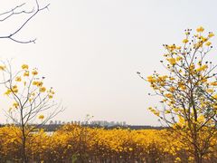 -松山湖风景区松湖烟雨