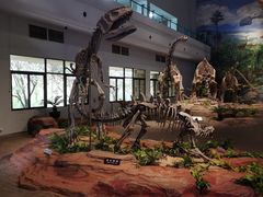 -自贡恐龙博物馆