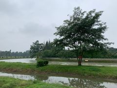 -蜀绣公园