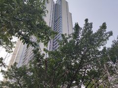 -重庆市江北嘴中央商务区中央公园