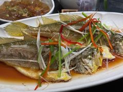 -前海沿·青岛菜(大拇指广场石老人店)