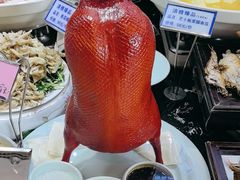 -清雅臻品·竹林院落·新派青岛菜(崂山店)