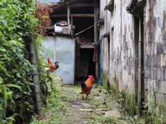 -公盂村