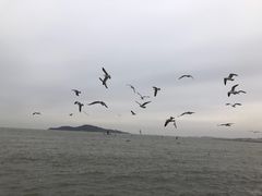 -幸福门