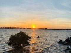 -宝安西湾红树林湿地公园