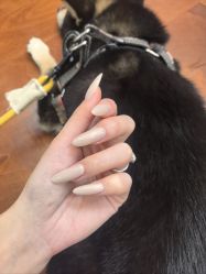 -HUII NAIL绘京美甲美睫会馆