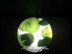 -百丽宫影城(嘉里汇店)