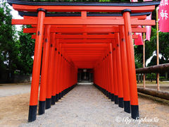 -水前寺成趣园