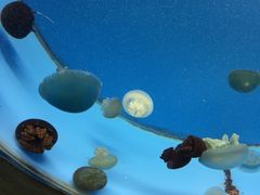 -常州海昌海洋探索馆