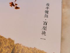 -小吊梨汤·北京菜·烤鸭(鸟巢店)