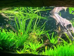 -上海海洋水族馆