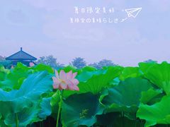 -梁鸿国家湿地公园