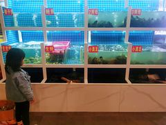 水产区-冶建镜子·老南昌大排档·江西虾王(总店)