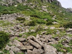 -灵山