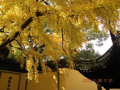 -惠山古镇·寄畅园