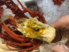 -怪怪龙虾·澳洲蓝龙王·深夜食堂(惊驾路店)