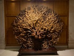 -汕头金乐大酒店