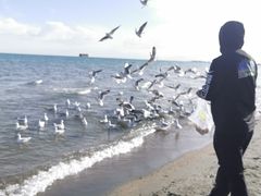 -青海湖国家重点风景名胜区