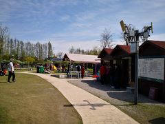 -上海长兴岛郊野公园