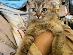 -平行世界·猫咖(首经贸店)