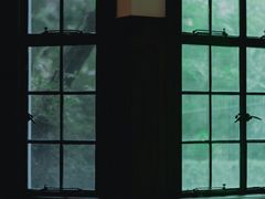 -Nathalie Djurberg与Hans Berg“牛皮纸包裹的月亮”-Prada荣宅当季展览