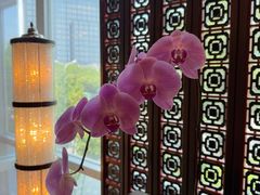 -北京四季酒店·采逸轩